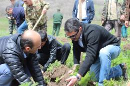 On May 7, at the initiative of the Ministry of Environment, nationwide tree planting was carried out throughout the territory of the Republic of Armenia.