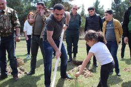 Large-scale tree planting on the shore of Lake Sevan: 10.000 saplings were planted within the framework of "10 million trees" initiative