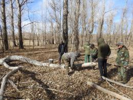 Sanitary logging works have begun in the forests of the National Park "Lake Arpi" of the Ministry of Environment