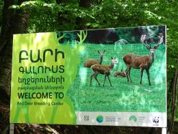 Information About Entrance Fees to the "Caucasian Red Deer Breeding Center"