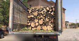 Three people have been arrested on suspicion of moving trees illegally and using violence against law enforcement