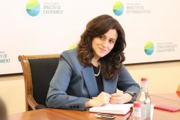 Deputy Minister of Environment Anna Mazmanyan held a meeting on the topic "green financing.  "innovative financial mechanisms"