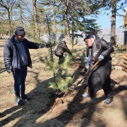 Improvement works are being done in Berd "Sorans" arboretum