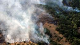 The wildfire was extinguished  in “Khosrov Forest” state reserve: there is no danger of  fire spread at this time