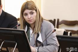 The National Assembly discussed the package of draft laws proposed by the Government "On Mercury" and related
