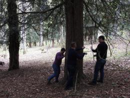 Joint Monitoring for Environmental Protection project in Dilijan National Park